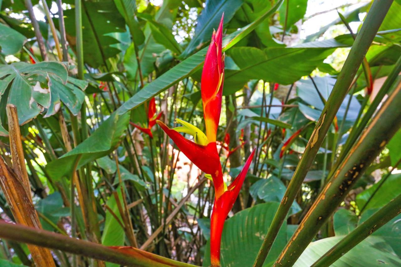 Chácara Flor de Iris Piraquara Exterior foto