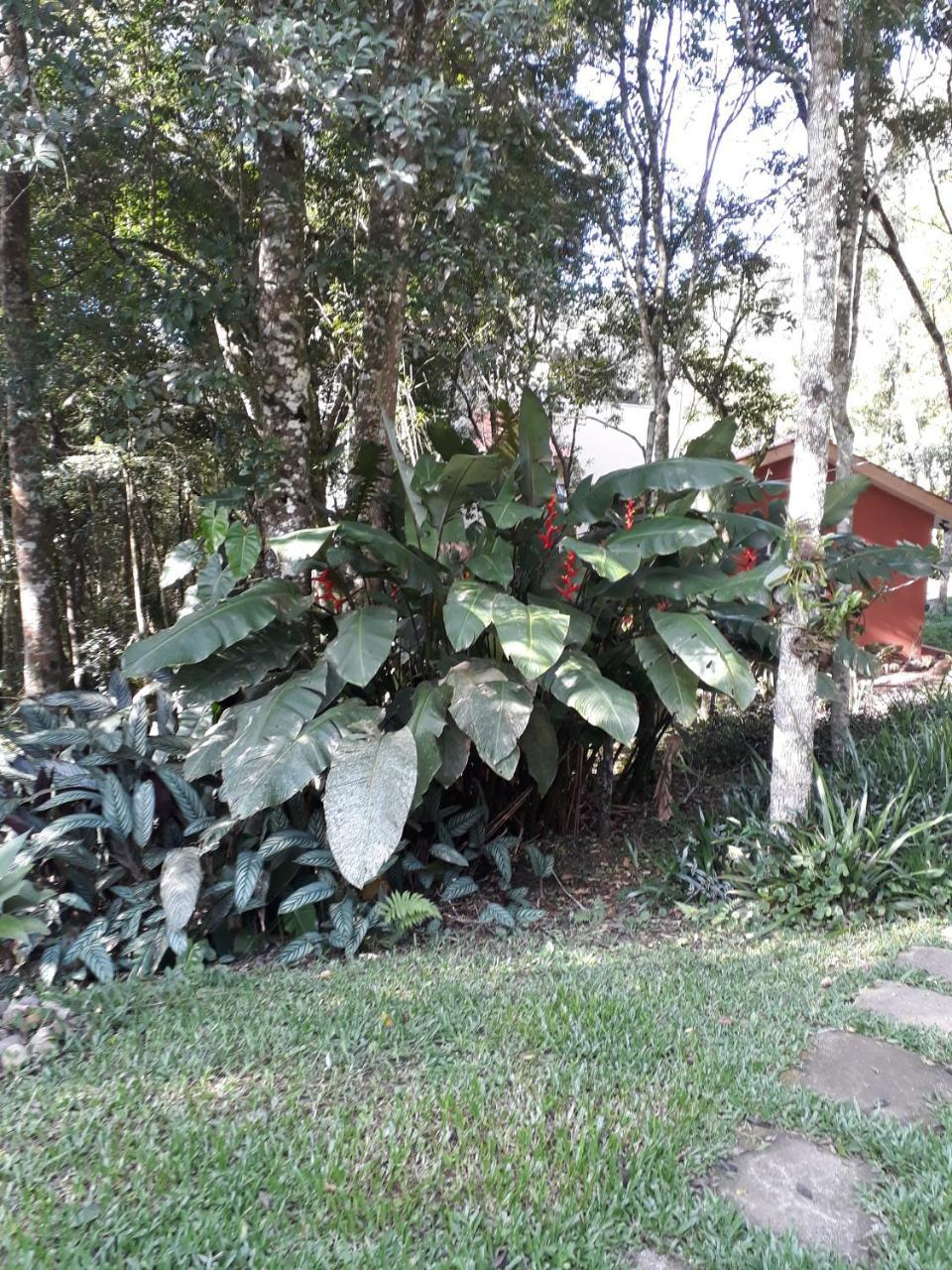 Chácara Flor de Iris Piraquara Exterior foto