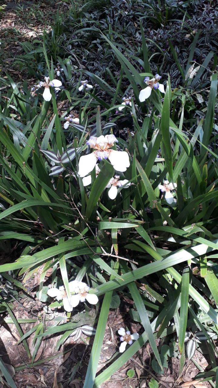Chácara Flor de Iris Piraquara Exterior foto